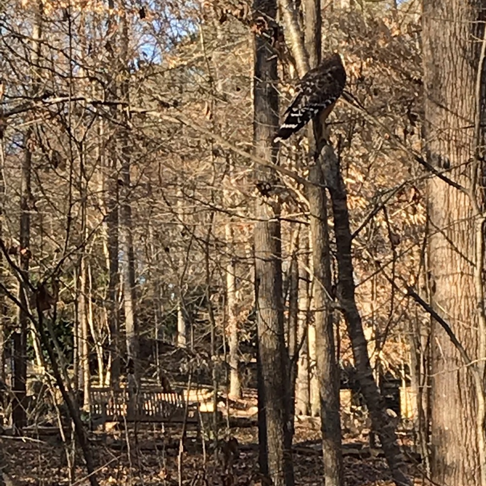Meet your Posher, Llindsey